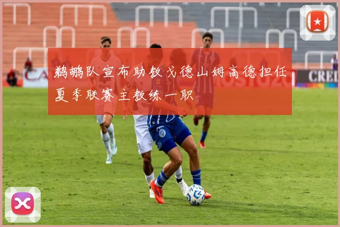 鹈鹕队宣布助教戈德山姆高德担任夏季联赛主教练一职