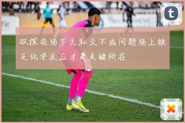 双探花场下无私交不成问题场上缺乏化学反应才是关键所在
